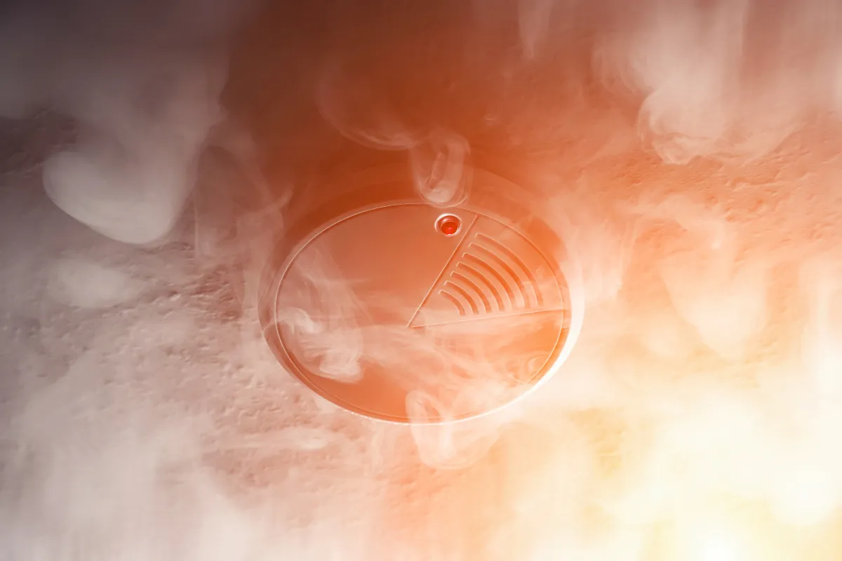 Smoke Alarm (2)